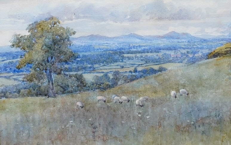 Edith Cubitt (1873–1958), watercolour, Downland scene with flock of sheep, unsigned, 20 x 29cm, gilt framed. Condition - fair to good